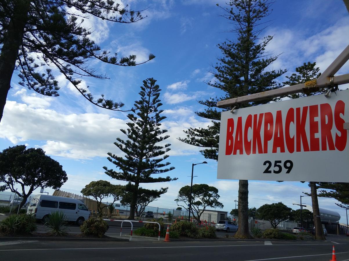 Hostel Napier Art House Backpackers Exterior foto